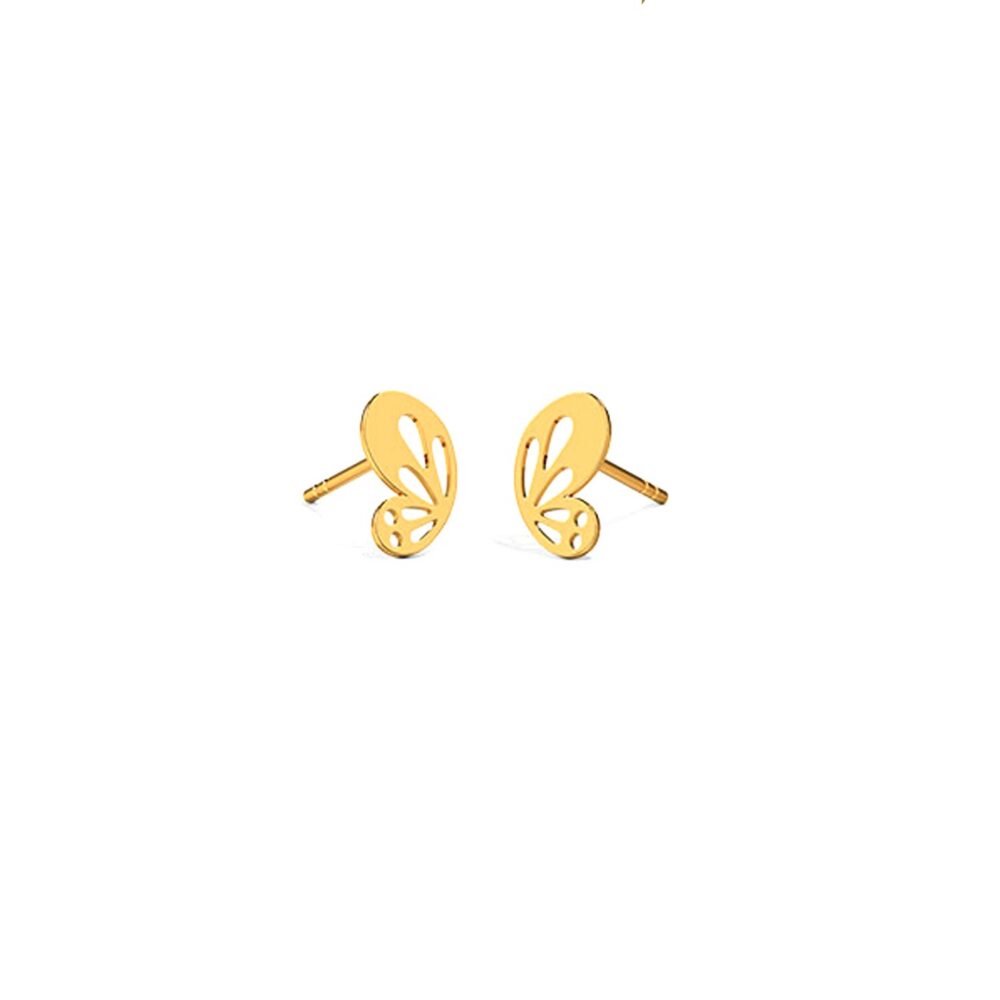 AurisFly
